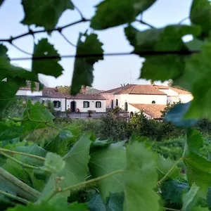 Casa Vacanze Etna Piedimonte Etneo